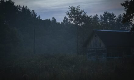 Fazenda Colonial | Netflix investe, pela primeira vez, em uma produção brasileira de terror