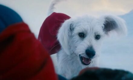 Superman | Kripto foi inspirado no próprio cachorro de James Gunn