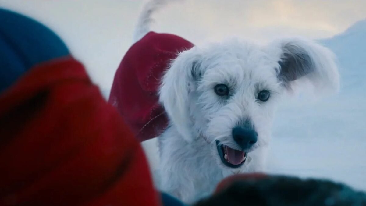 Krypto Superman