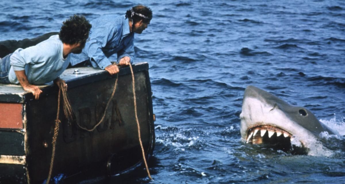 Tubarão 50 anos | O filme que inventou o blockbuster e mudou Hollywood para sempre