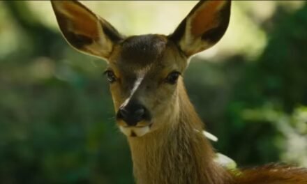 Crítica |”Bambi: Uma Aventura na Floresta” reacende a força melancólica do conto infantil