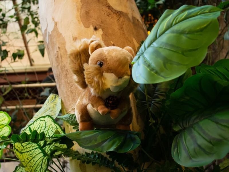 Pelúcia do Caxinguelê, mascote que inspira o nome da editora. Crédito: Divulgação
