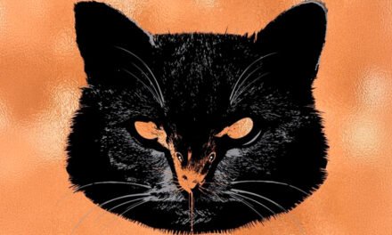 Rato | Obra de Stephen King ganhará adaptação com produtor de “A Bruxa”