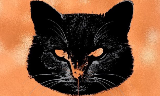 Rato | Obra de Stephen King ganhará adaptação com produtor de “A Bruxa”