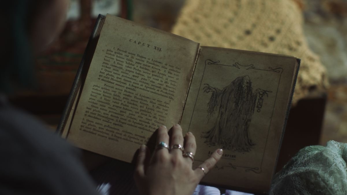 Livro - Apanhador de Almas
