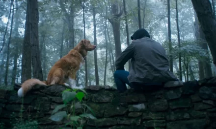 Horror Animal | Melhores filmes de terror com animais para assistir