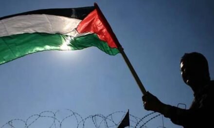 Do rio ao mar | Conheça as vozes que narram a Faixa de Gaza