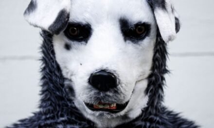 Crítica de Terror | “Good Boy” transforma submissão e poder em puro pesadelo psicológico