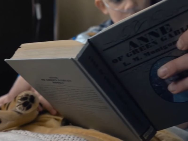 Hopper lendo Anne de Green Gables