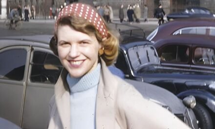 A Redoma de Vidro | O que sabemos sobre a nova adaptação do clássico de Sylvia Plath