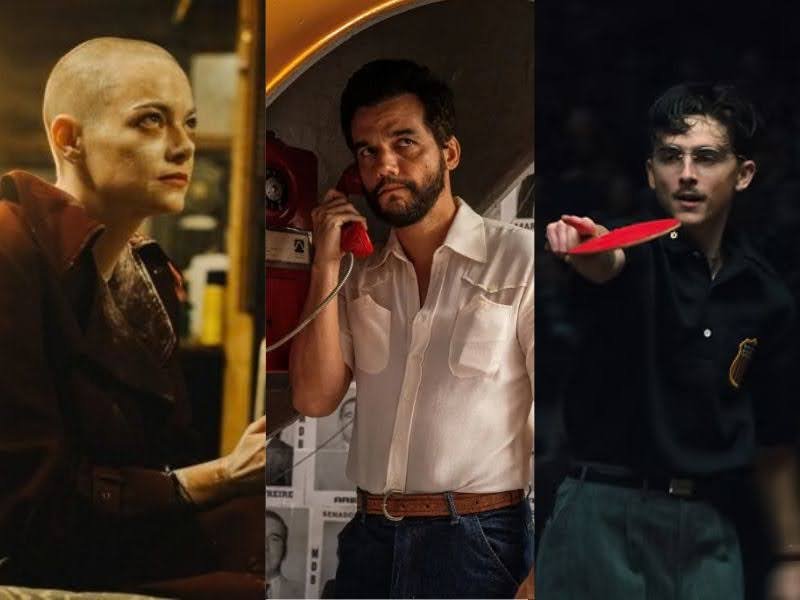 Emma Stone, Wagner Moura e Timothee Chalamet estão entre os principais indicados | Crédito: Divulgação