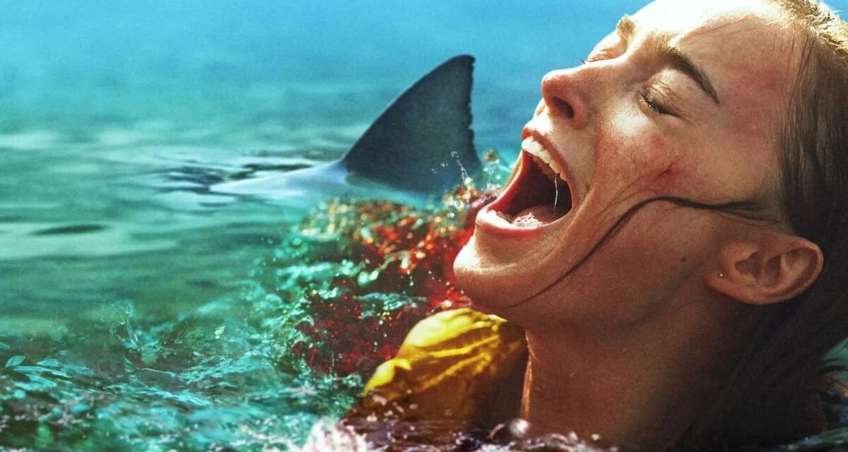 Ataque de Tubarão: Além de “Ataque Brutal”, conheça outros filmes