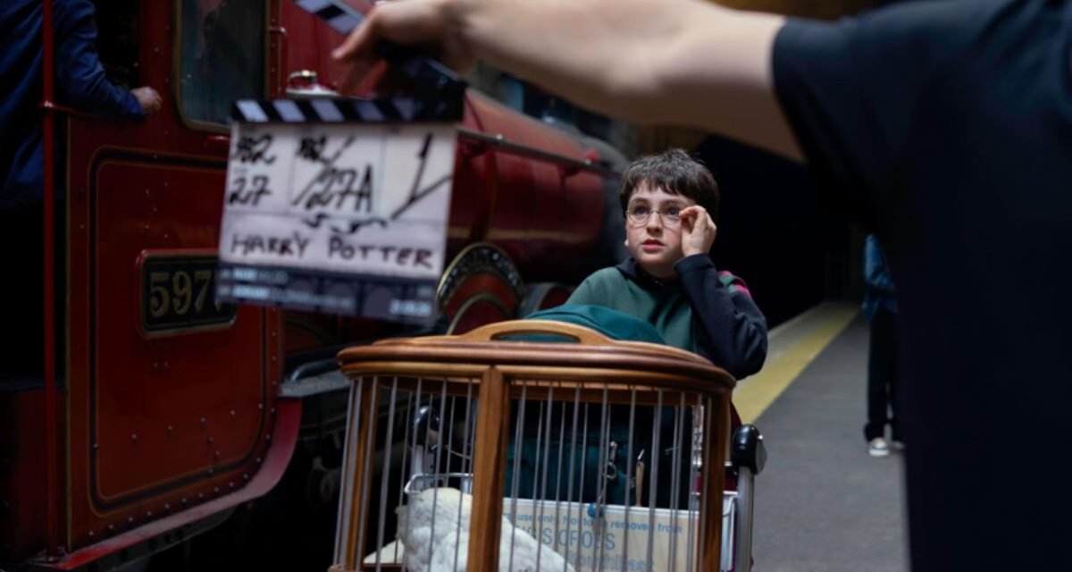 Crítica | “Finding Harry” revela construção da nova série, mas peca no ritmo