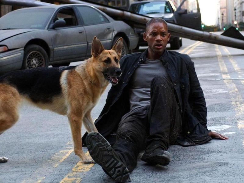 Cena de "Eu Sou a Lenda" mostra Will Smith como Robert Neville. Ator retornará ao papel em "Eu Sou a Lenda 2