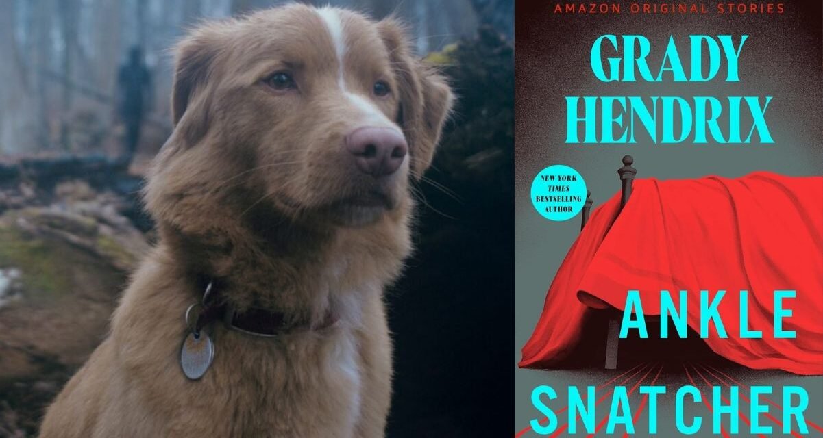 Ankle Snatcher | Diretor de “Good Boy” adaptará conto de terror de Grady Hendrix