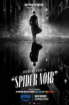 spider-noir poster