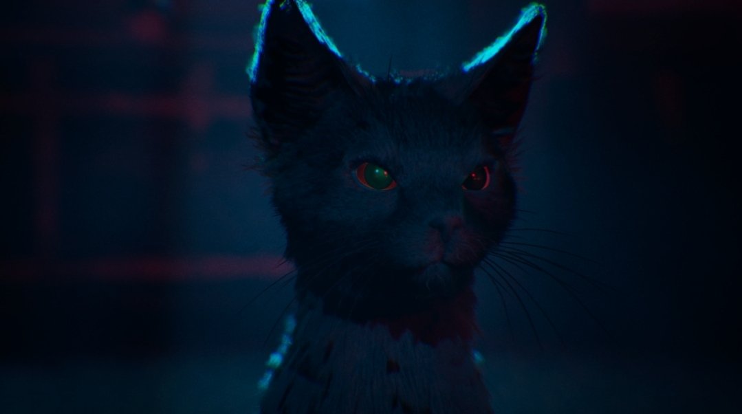 Aaron, o gato misterioso com olhos brilhantes na atmosfera sombria do jogo 1666: Amsterdam.
