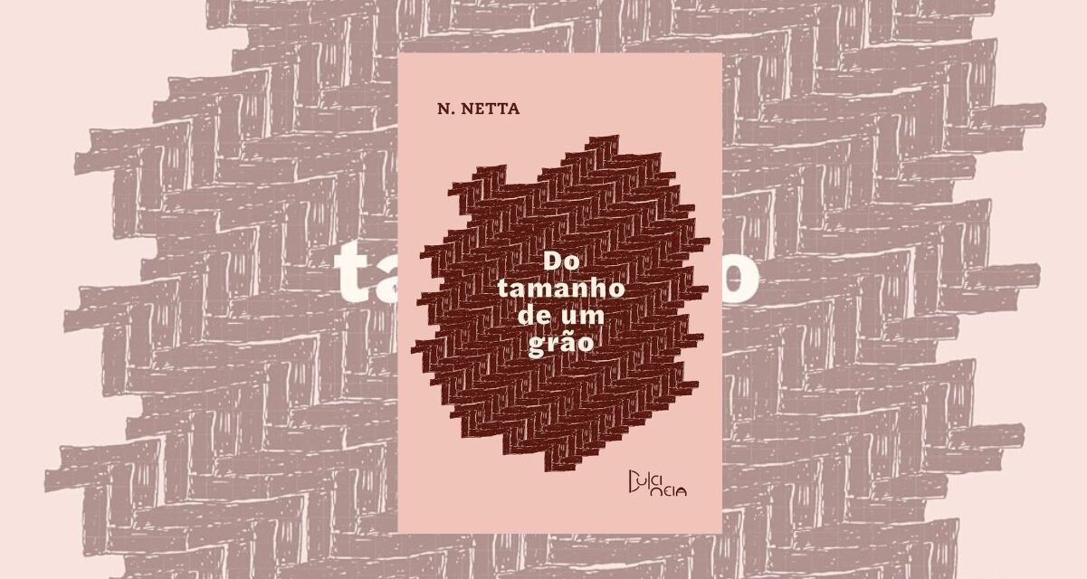 Resenha do livro “Do tamanho de um grão” de N. Netta