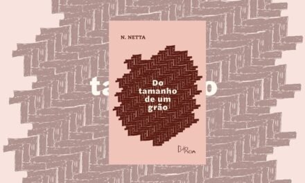 Resenha do livro “Do tamanho de um grão” de N. Netta