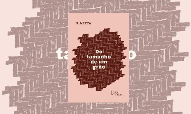 Resenha do livro “Do tamanho de um grão” de N. Netta