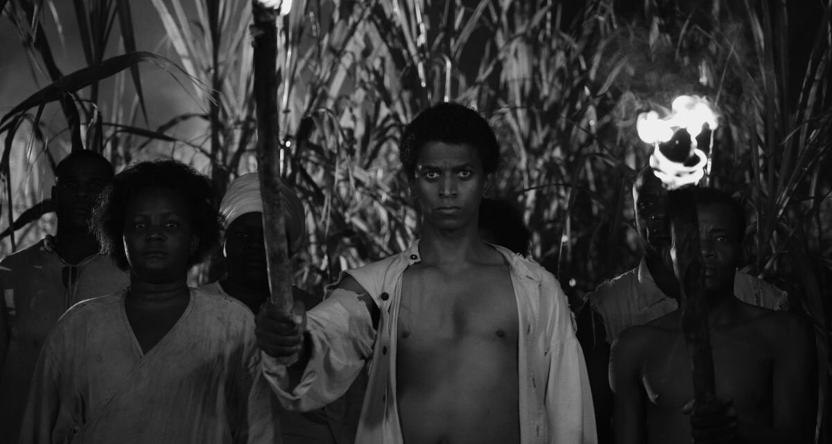 Black Zombie | Conheça a história dos mortos-vivos antes de Hollywood