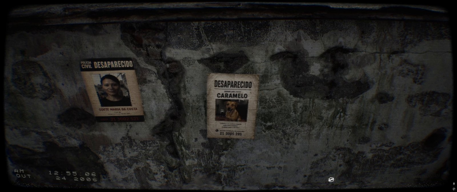 Cartaz de cachorro caramelo desaparecido ao lado do cartaz de uma mulher, sobre um muro de concreto.
