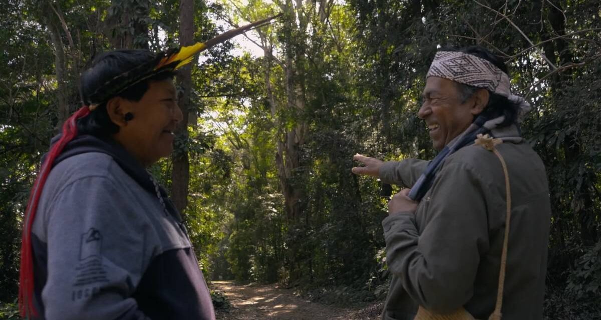 Crítica | Documentário ‘Maxita’ expõe cerco da mineração em volta do povo Yanomami