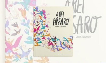 Resenha | “O Rei Pássaro”, de Carol Sakura e Walkir Fernandes