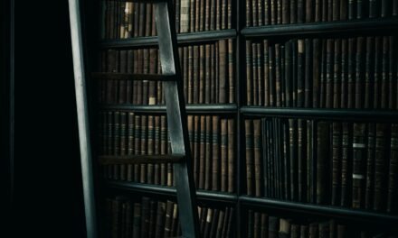 Halloween | Confira livros góticos em alta no BookTok e no Instagram