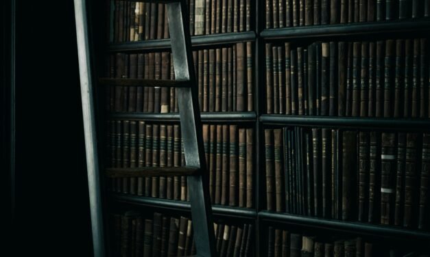 Halloween | Confira livros góticos em alta no BookTok e no Instagram